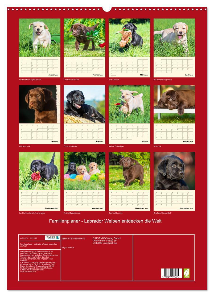 Bild: 9783435957675 | Familienplaner - Labrador Welpen entdecken die Welt (Wandkalender...