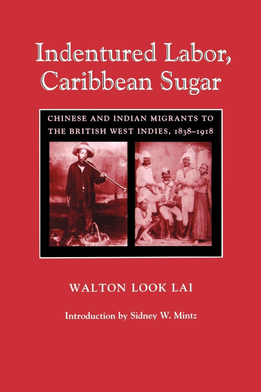 Cover: 9780801877469 | Indentured Labor, Caribbean Sugar | Walton Look Lai | Taschenbuch