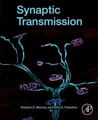 Cover: 9780128153208 | Synaptic Transmission | Stephen D Meriney (u. a.) | Taschenbuch | 2019