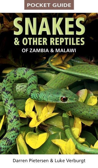 Cover: 9781775847168 | Pocket Guide to Snakes &amp; Other Reptiles of Zambia and Malawi | Buch