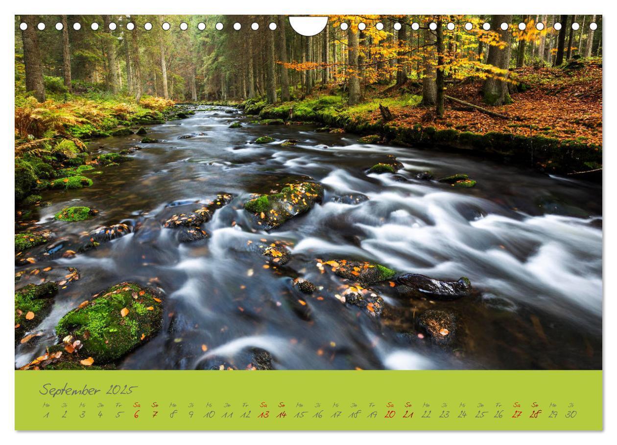 Bild: 9783435194247 | Der Bayerische Wald (Wandkalender 2025 DIN A4 quer), CALVENDO...