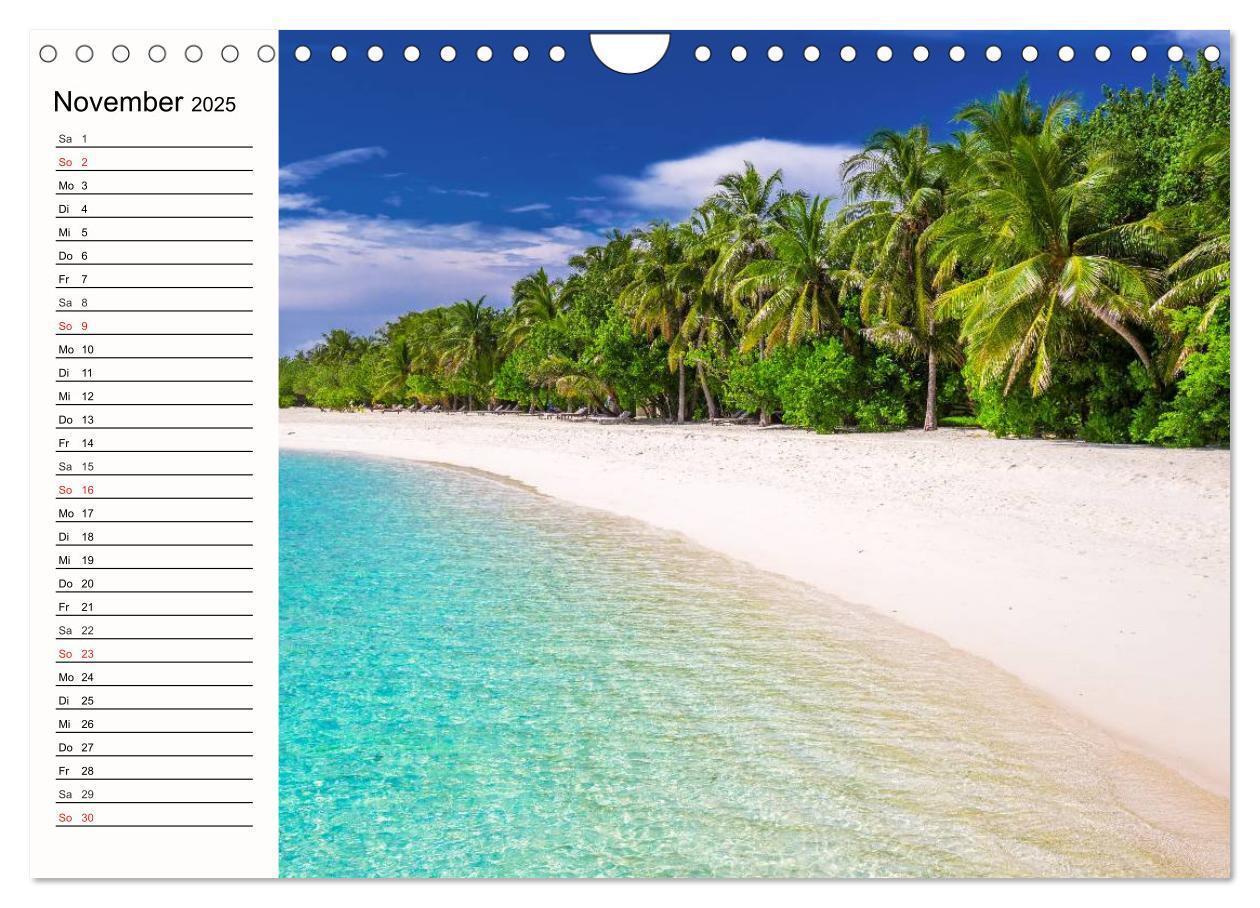 Bild: 9783435489220 | Paradiese. Karibik und Südsee über und unter Wasser (Wandkalender...