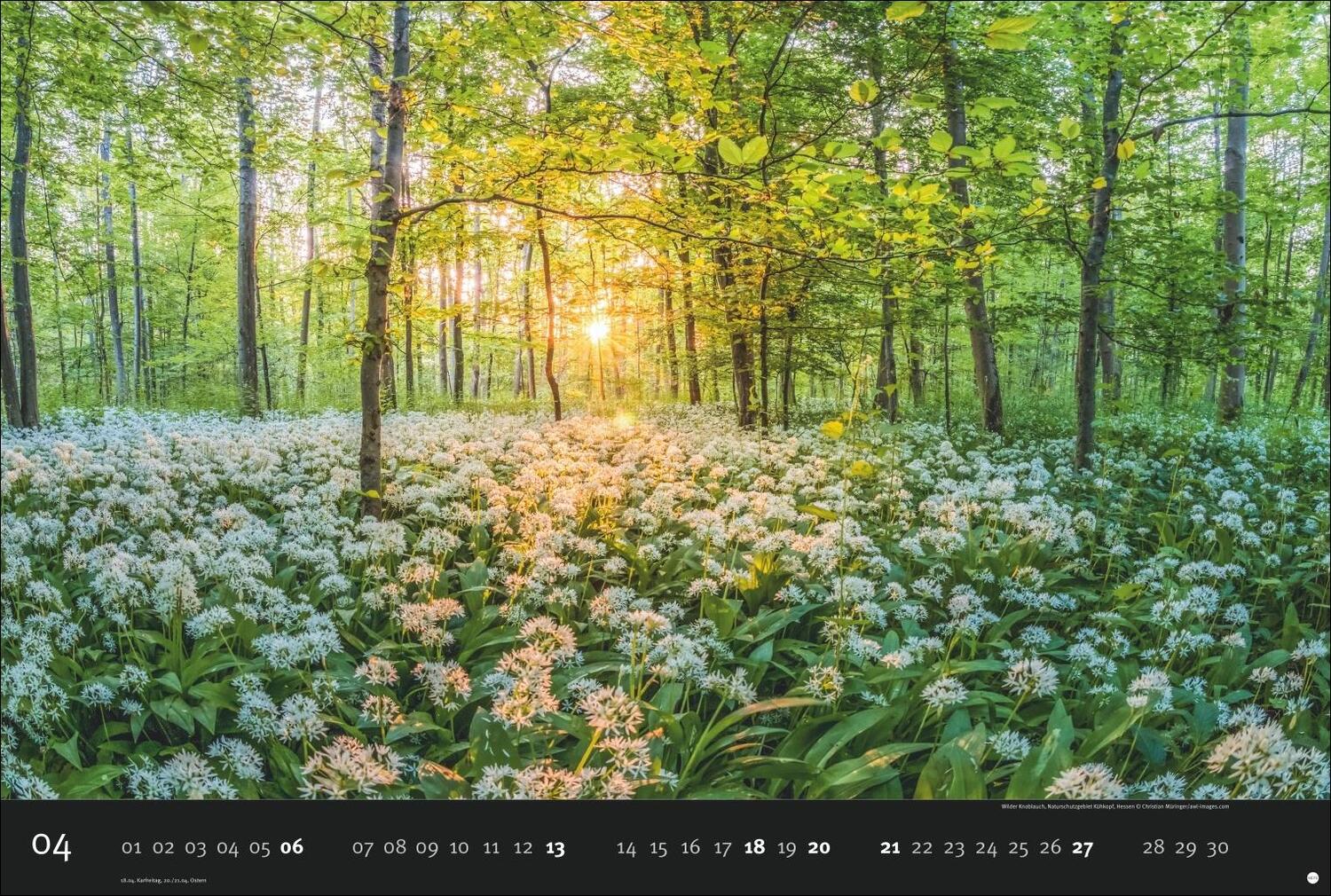 Bild: 9783756408269 | Deutschlands Naturparadiese Kalender 2025 | Harenberg | Kalender