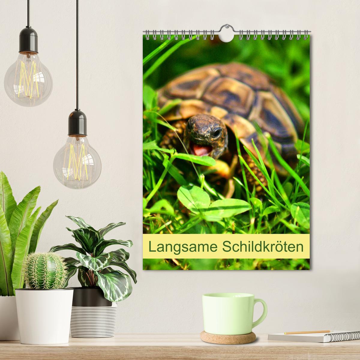 Bild: 9783457004876 | Langsame Schildkröten (Wandkalender 2025 DIN A4 hoch), CALVENDO...