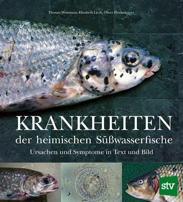 Cover: 9783702020385 | Krankheiten der heimischen Süßwasserfische | Thomas Weismann (u. a.)