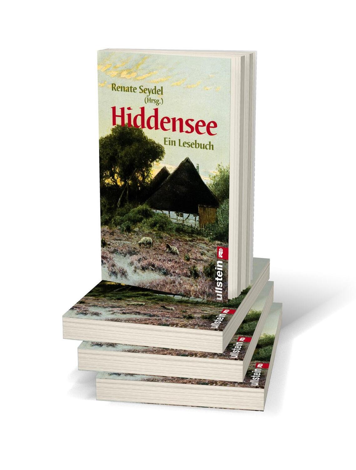 Bild: 9783548249636 | Hiddensee. Ein Lesebuch | Renate Seydel | Taschenbuch | 368 S. | 2000