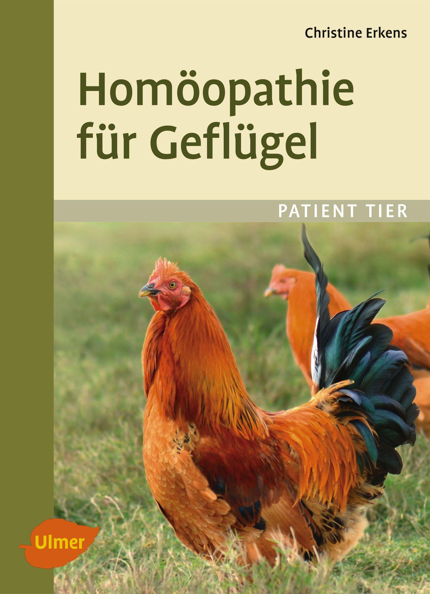 Cover: 9783818601058 | Homöopathie für Geflügel | Christine Erkens | Taschenbuch | 111 S.