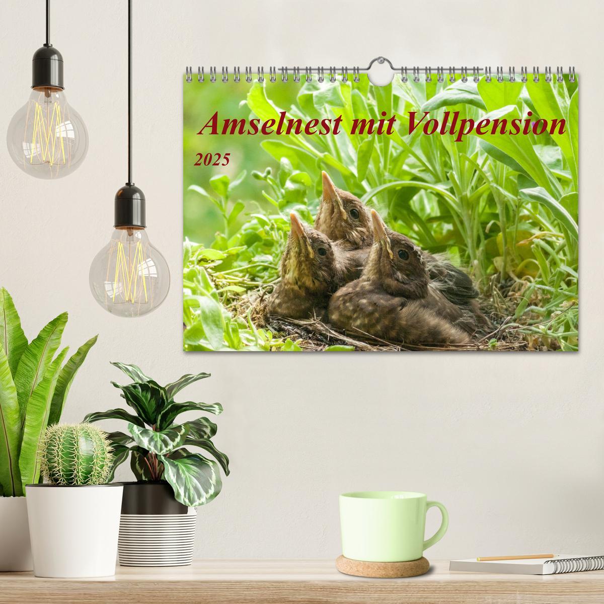 Bild: 9783435140794 | Amselnest mit Vollpension (Wandkalender 2025 DIN A4 quer), CALVENDO...