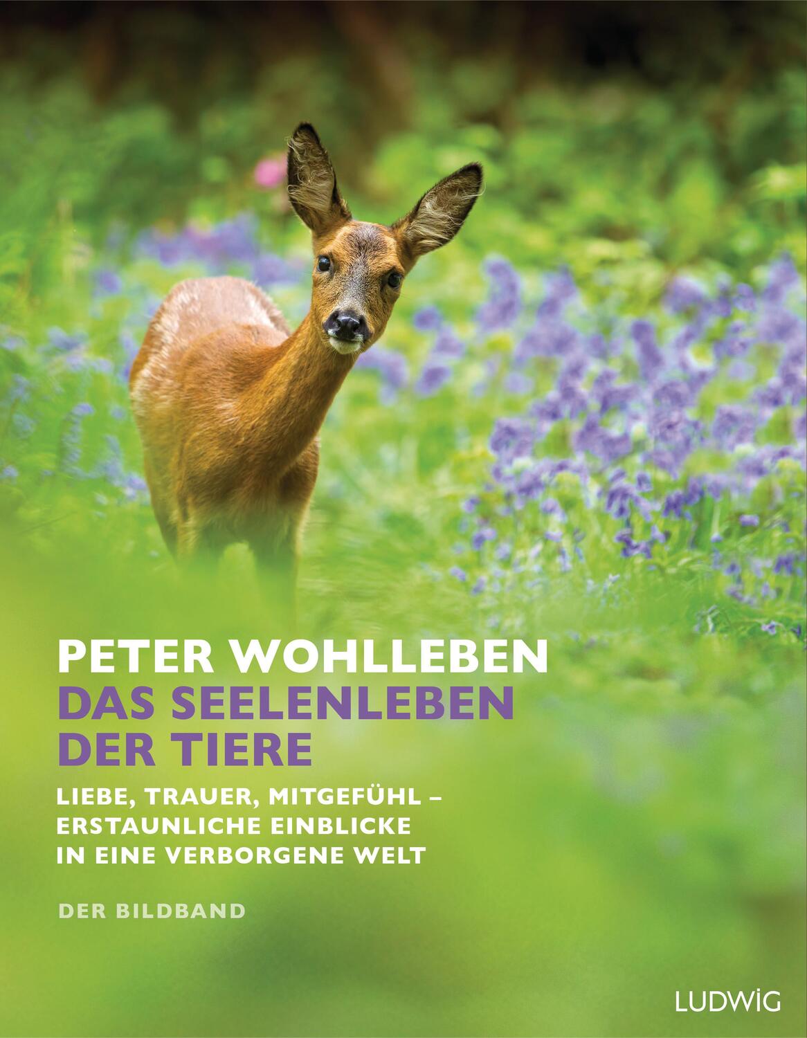 Cover: 9783453281103 | Das Seelenleben der Tiere. Der Bildband | Peter Wohlleben | Buch