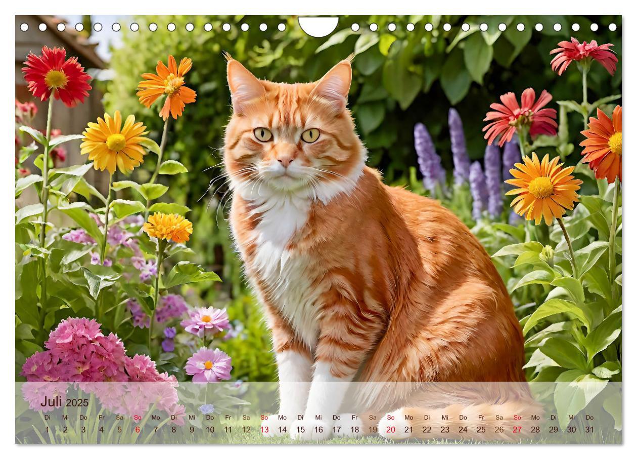 Bild: 9783383817830 | Rote Katzen (Wandkalender 2025 DIN A4 quer), CALVENDO Monatskalender