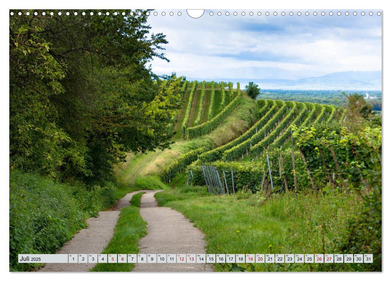 Bild: 9783435350377 | Weinregion Kaiserstuhl (Wandkalender 2025 DIN A3 quer), CALVENDO...