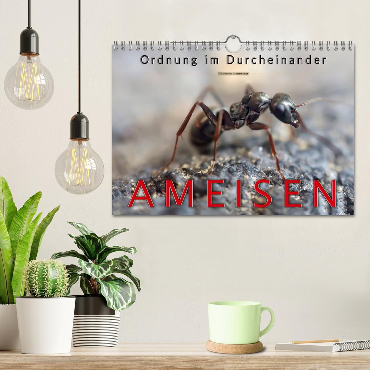 Bild: 9783435354481 | Ameisen - Ordnung im Durcheinander (Wandkalender 2025 DIN A4 quer),...