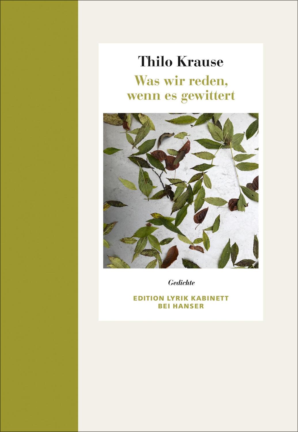 Cover: 9783446258167 | Was wir reden, wenn es gewittert | Gedichte. Edition Lyrik Kabinett
