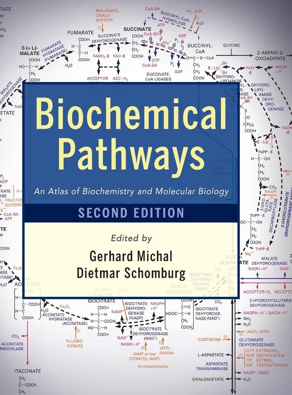 Cover: 9780470146842 | Biochemical Pathways 2e | Michal (u. a.) | Buch | 416 S. | Englisch