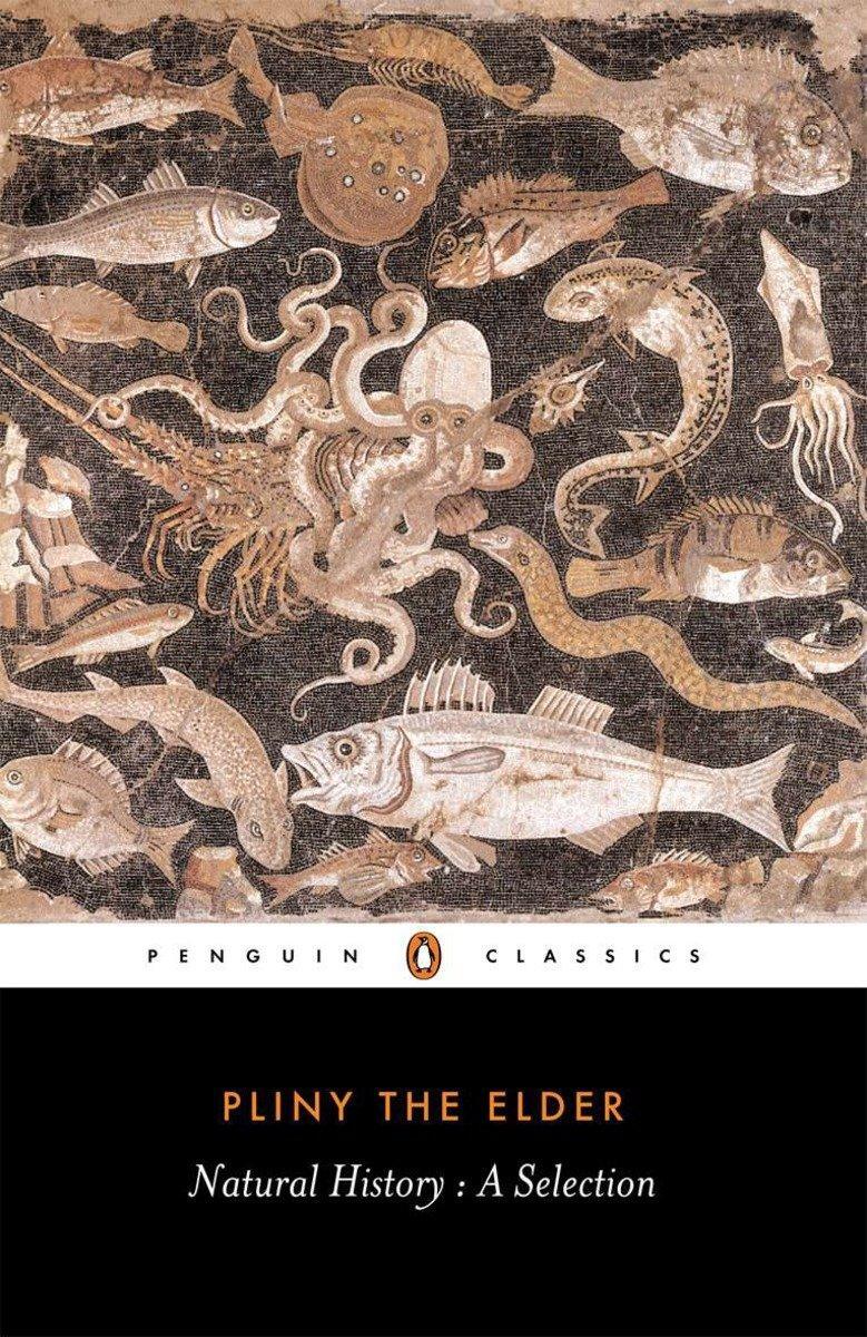 Cover: 9780140444131 | Natural History | Pliny The Elder | Taschenbuch | Englisch | 1991