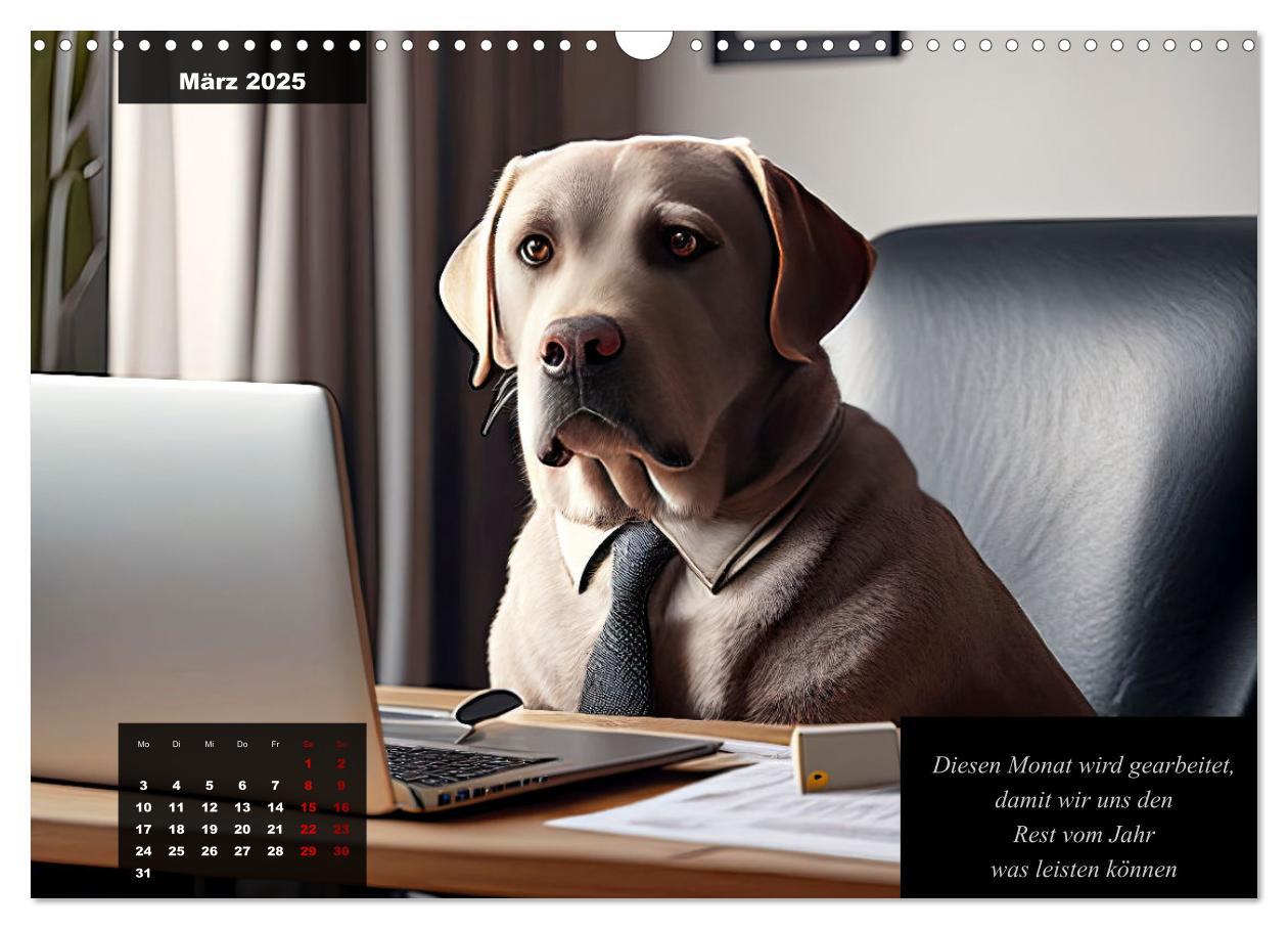 Bild: 9783435368143 | Der witzige Labrador-Kalender (Wandkalender 2025 DIN A3 quer),...