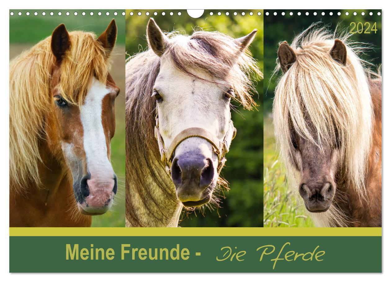 Cover: 9783383487903 | Meine Freunde - die Pferde (Wandkalender 2024 DIN A3 quer),...