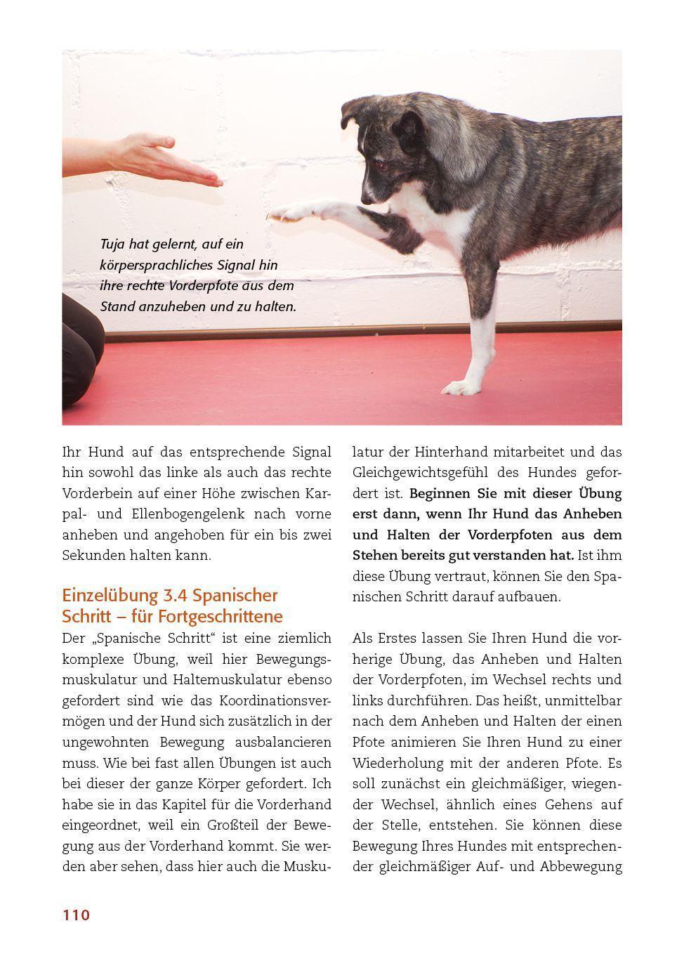 Bild: 9783936188752 | Körperarbeit mit dem Hund | Silke Stricker | Buch | 168 S. | Deutsch