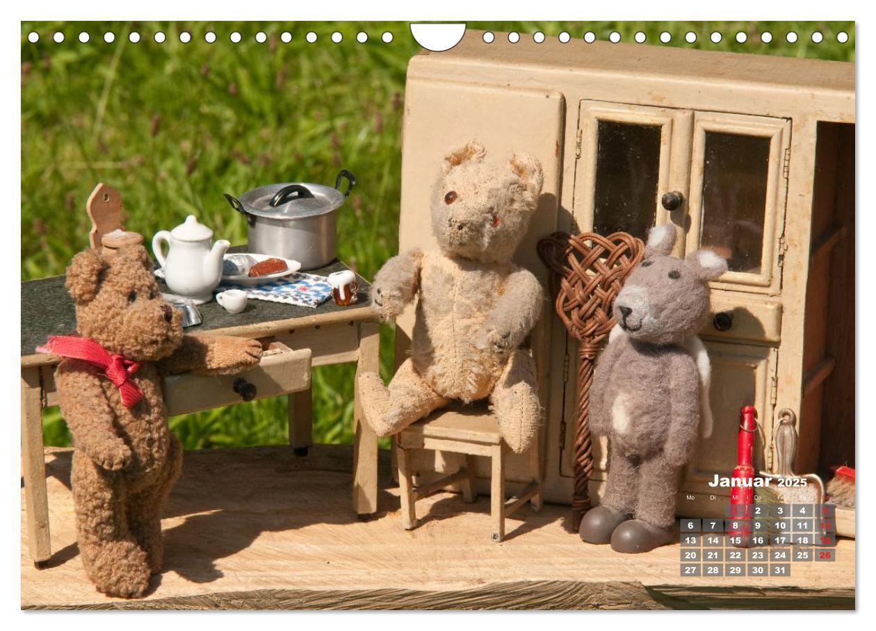 Bild: 9783435576586 | Geliebte Bären - Teddys (Wandkalender 2025 DIN A4 quer), CALVENDO...