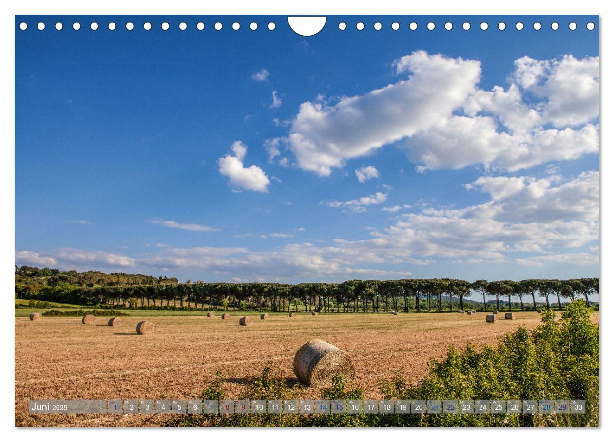 Bild: 9783435096039 | Orte der Maremma (Wandkalender 2025 DIN A4 quer), CALVENDO...