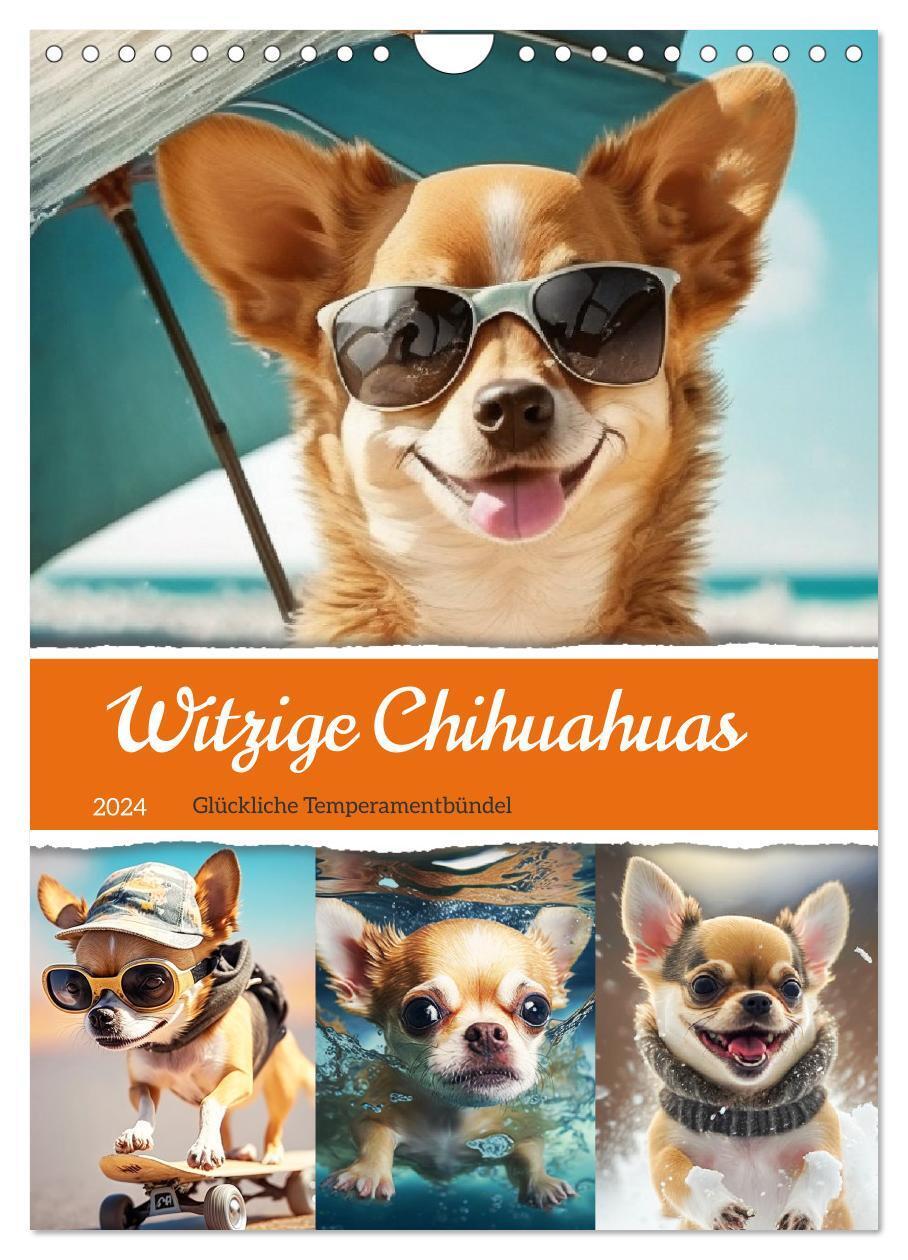 Cover: 9783675459366 | Witzige Chihuahuas. Glückliche Temperamentbündel (Wandkalender 2024...