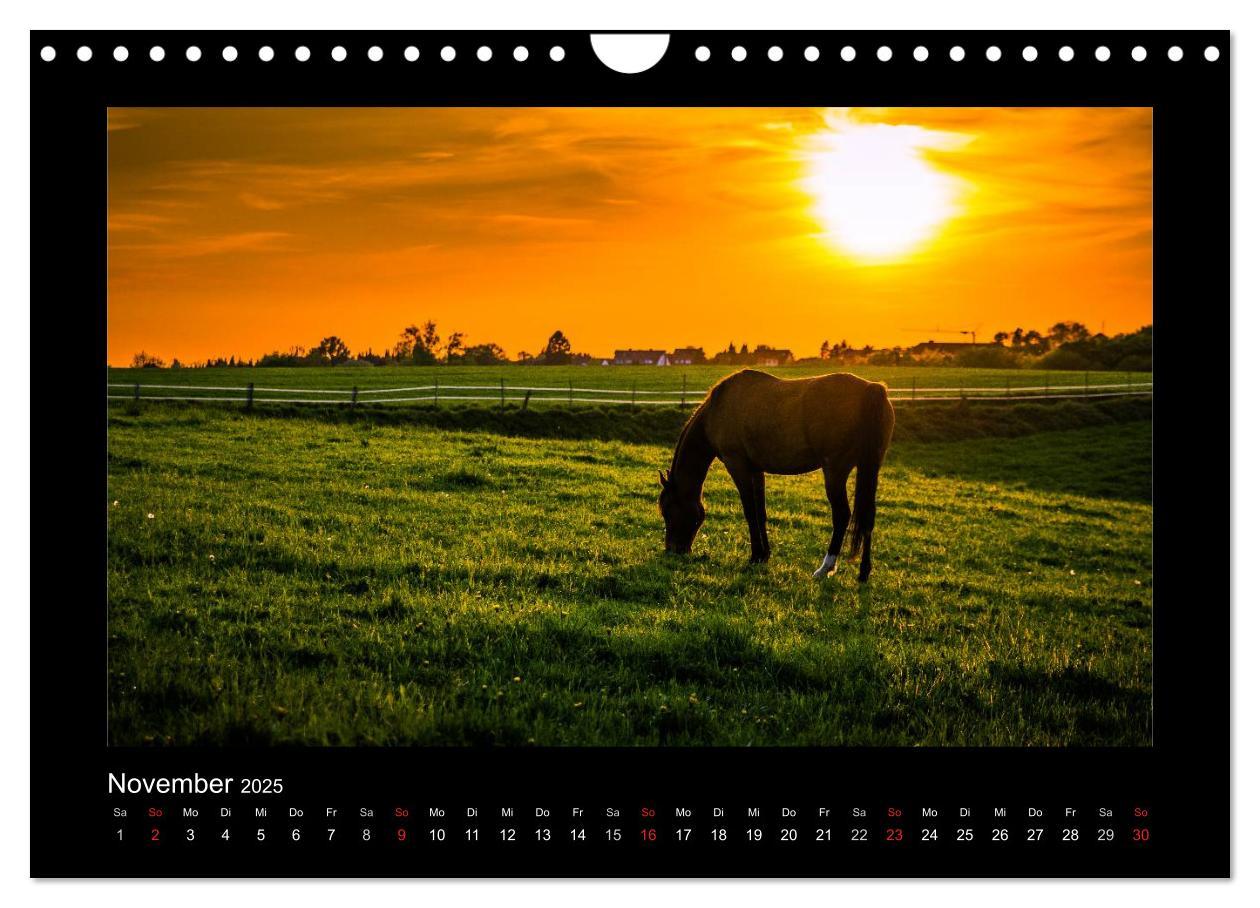 Bild: 9783435790135 | Landschaften im besonderen Licht (Wandkalender 2025 DIN A4 quer),...