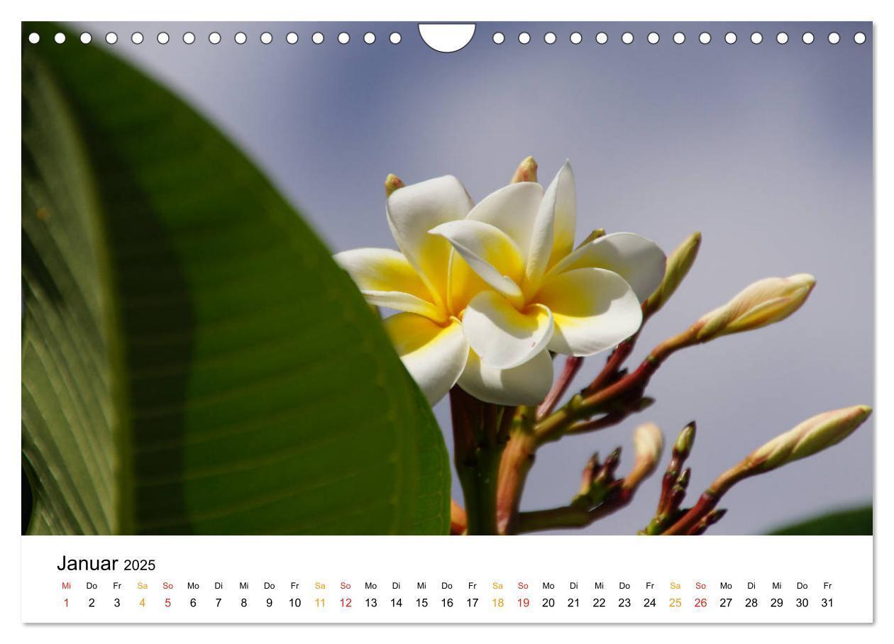 Bild: 9783435496662 | La Réunion - Auf der Insel der Gefühle (Wandkalender 2025 DIN A4...