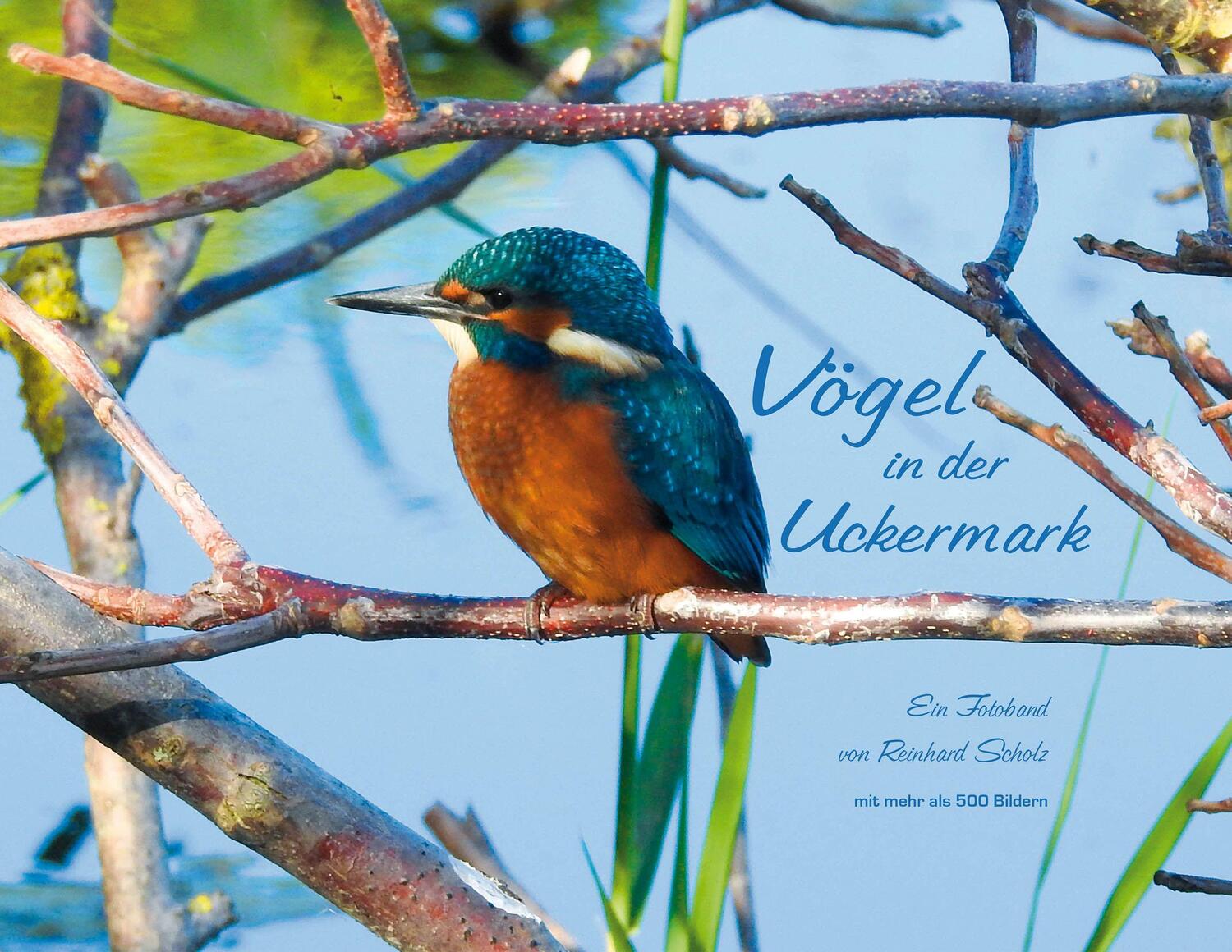 Cover: 9783868632484 | Vögel in der Uckermark | Ein Fotoband von Reinhard Scholz | Scholz