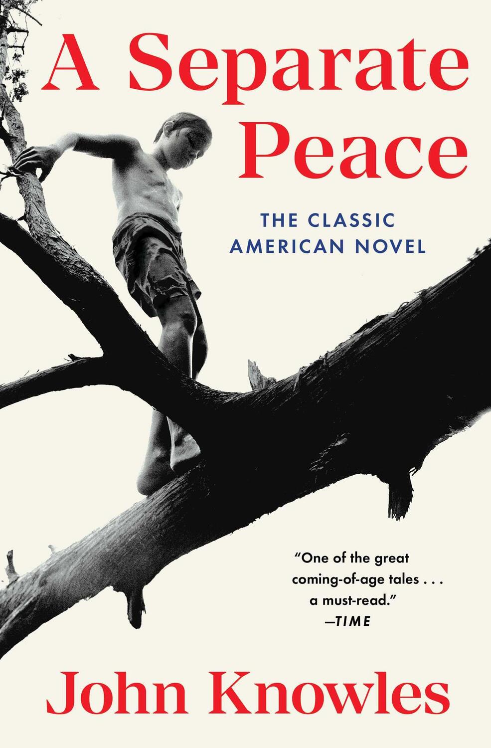 Cover: 9780743253970 | A Separate Peace | John Knowles | Taschenbuch | Englisch | 2016