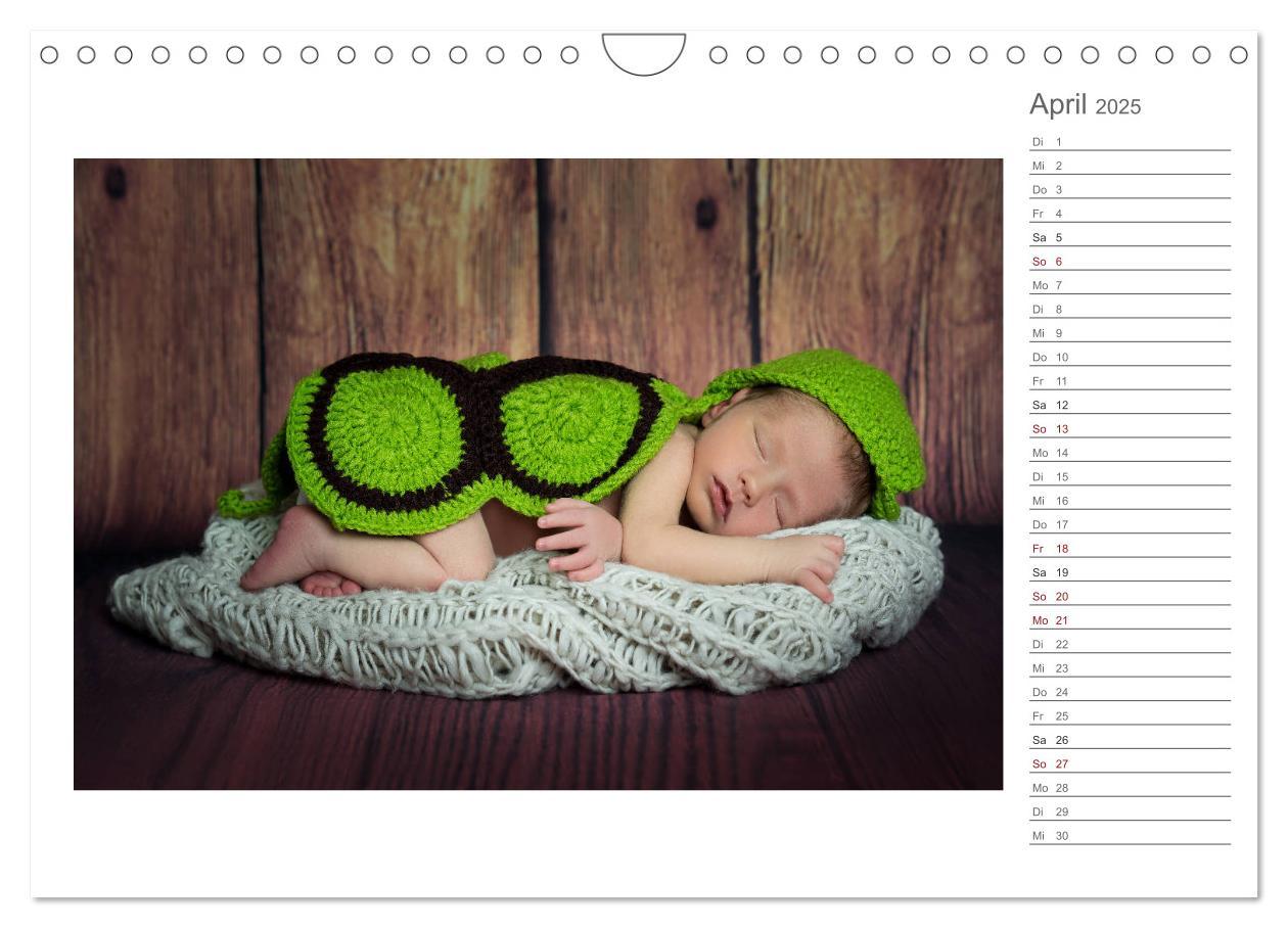 Bild: 9783435438419 | Aller Anfang ist klein - Babykalender mit Noah (Wandkalender 2025...