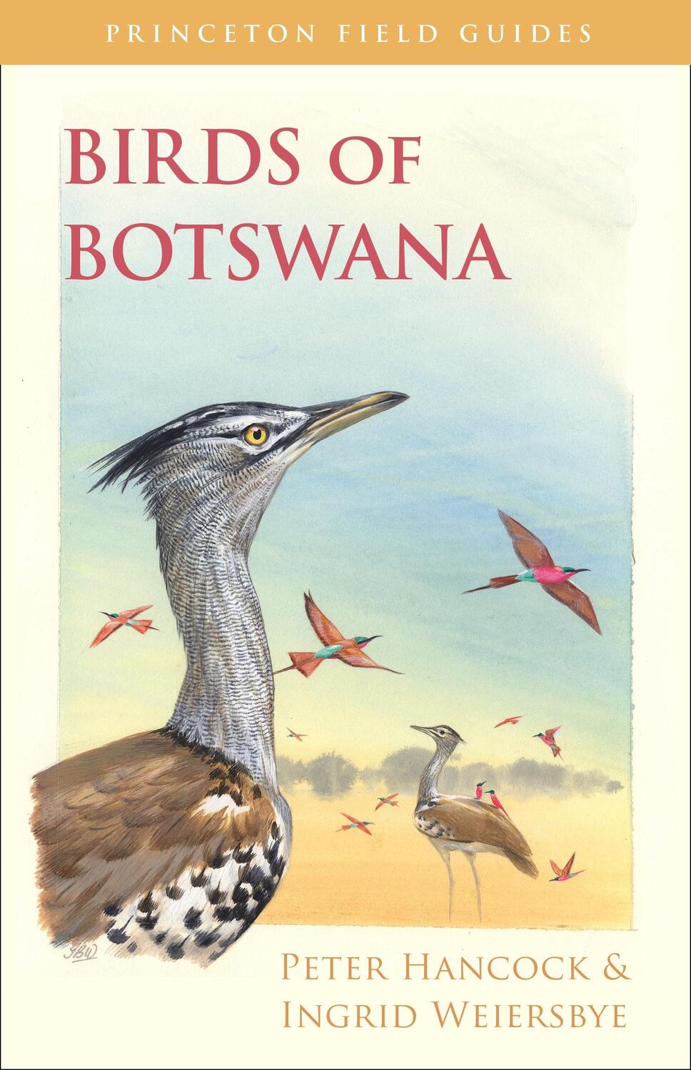 Cover: 9780691157177 | Birds of Botswana | Peter Hancock (u. a.) | Taschenbuch | Englisch