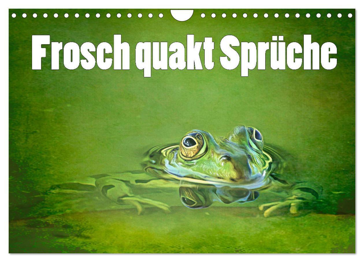 Cover: 9783383916595 | Frosch quakt Sprüche (Wandkalender 2025 DIN A4 quer), CALVENDO...