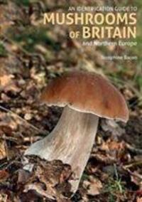 Cover: 9781912081370 | An Identification Guide to Mushrooms of Britain and Northern Europe...