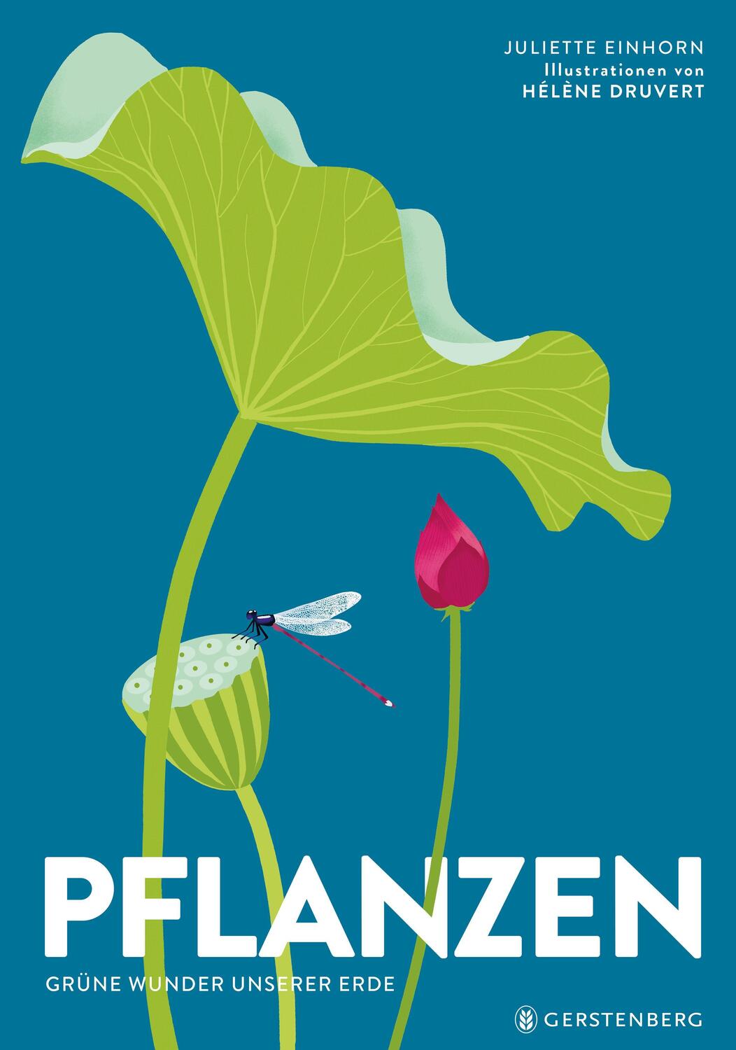 Cover: 9783836962285 | Pflanzen | Grüne Wunder unserer Erde | Hélène Druvert (u. a.) | Buch