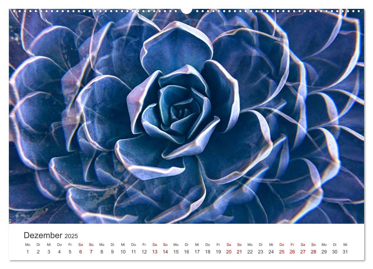 Bild: 9783383930294 | ZEN - Eine Reise zu sich selbst (Wandkalender 2025 DIN A2 quer),...