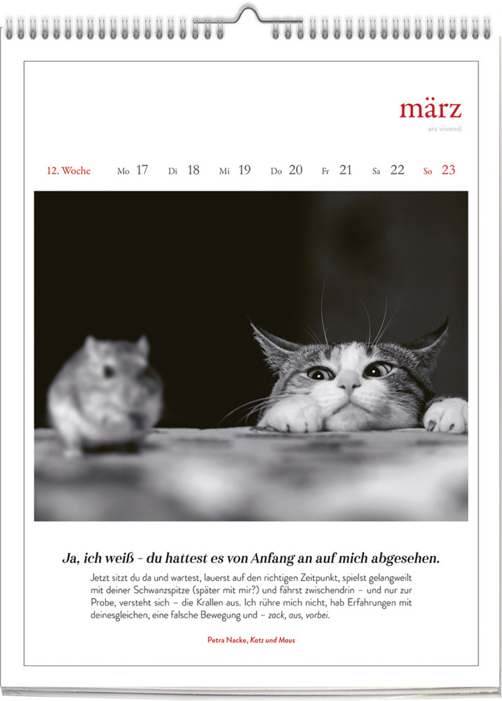 Bild: 9783747205655 | Katzen - Literarisch durchs Jahr 2025 | Wochenkalender | Kalender