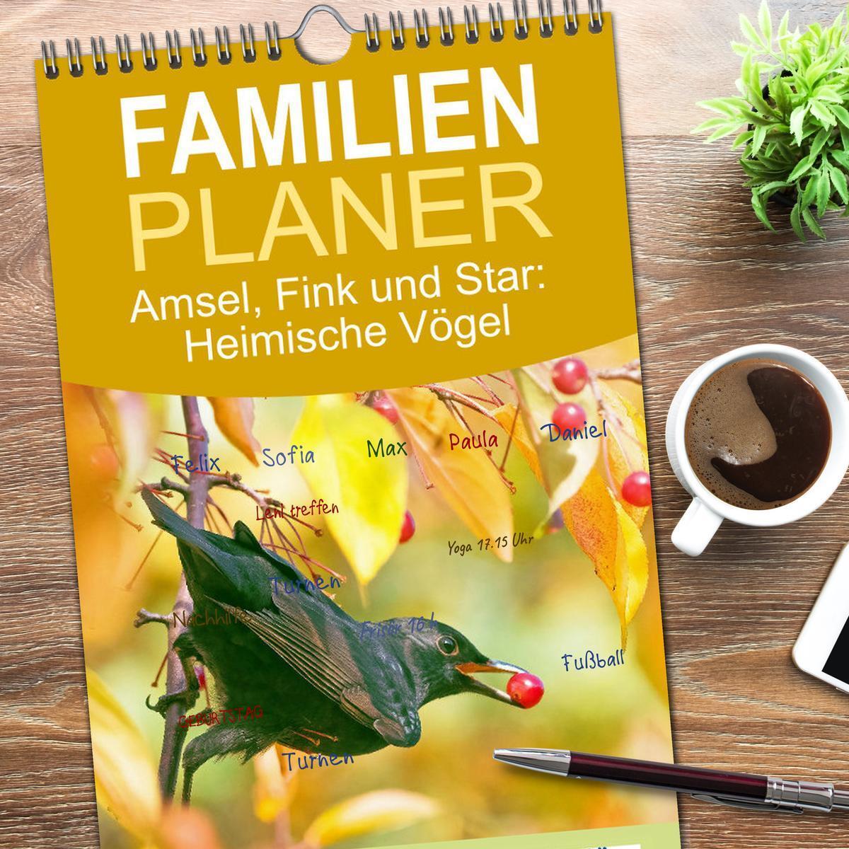 Bild: 9783457091494 | Familienplaner 2025 - Amsel, Fink und Star: Heimische Vögel mit 5...