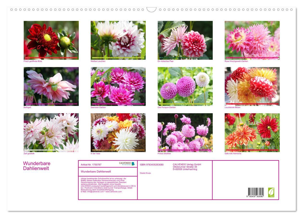 Bild: 9783435263080 | Wunderbare Dahlienwelt (Wandkalender 2025 DIN A2 quer), CALVENDO...