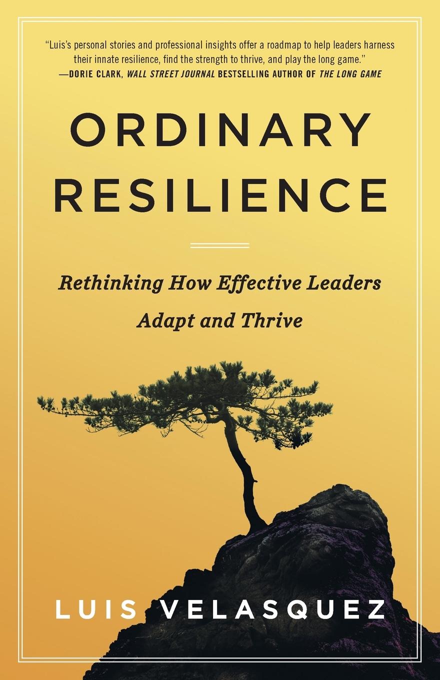 Cover: 9781544545639 | Ordinary Resilience | Luis Velasquez | Taschenbuch | Paperback | 2024