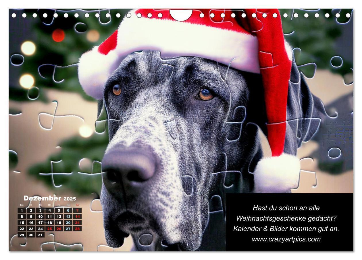 Bild: 9783435722471 | Der humoristische Dogge Kalender (Wandkalender 2025 DIN A4 quer),...