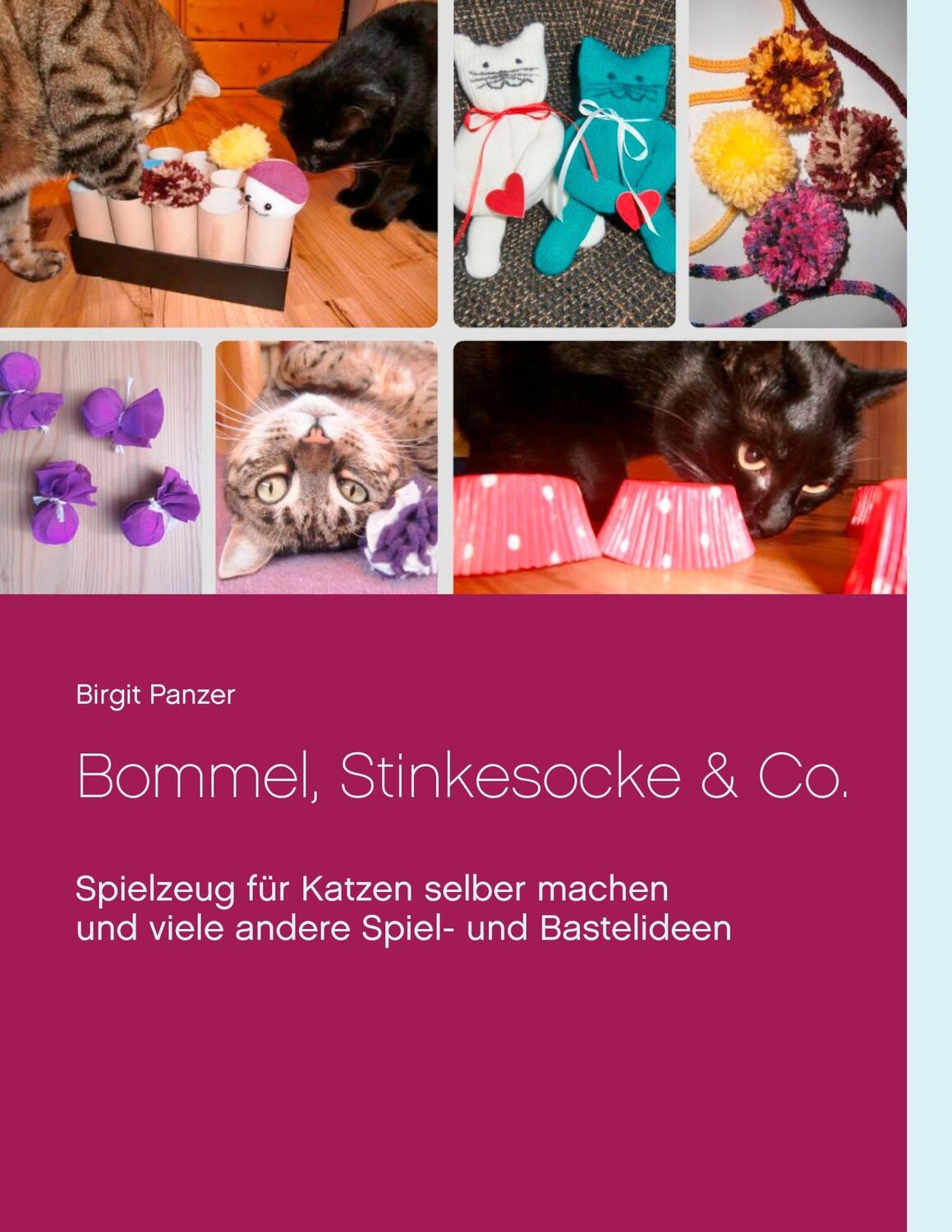 Cover: 9783734774133 | Bommel, Stinkesocke &amp; Co. | Birgit Panzer | Taschenbuch | Paperback