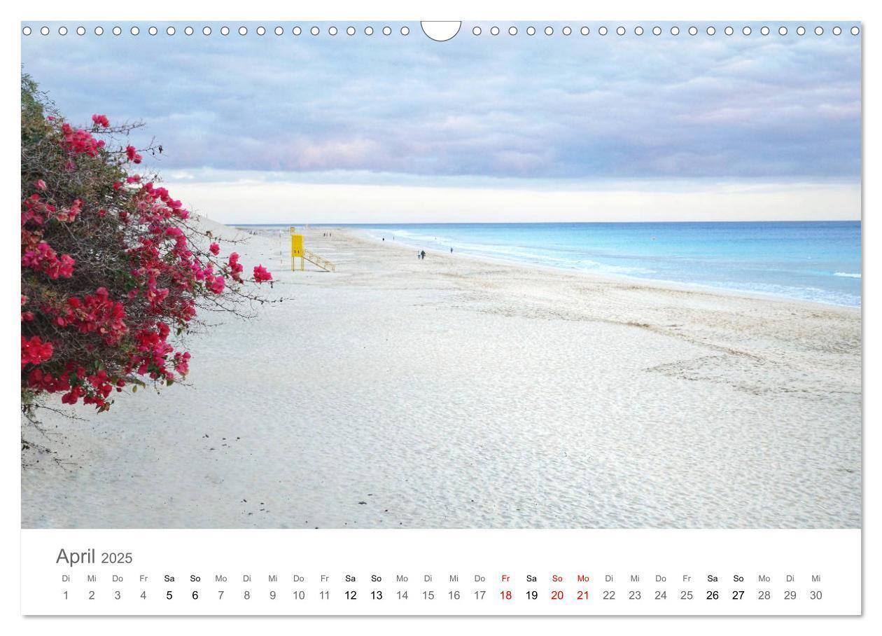 Bild: 9783435218448 | Fuerteventura - die Wüsteninsel der Kanaren (Wandkalender 2025 DIN...