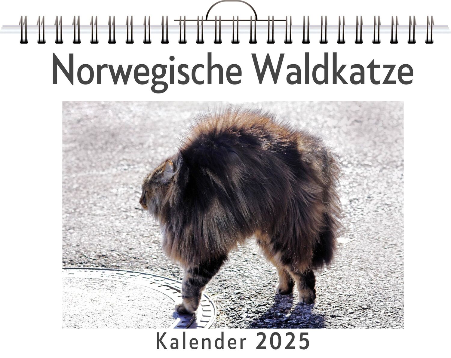 Cover: 9783759120380 | Norwegische Waldkatze | Lina Schröder | Kalender | Kalender | 14 S.