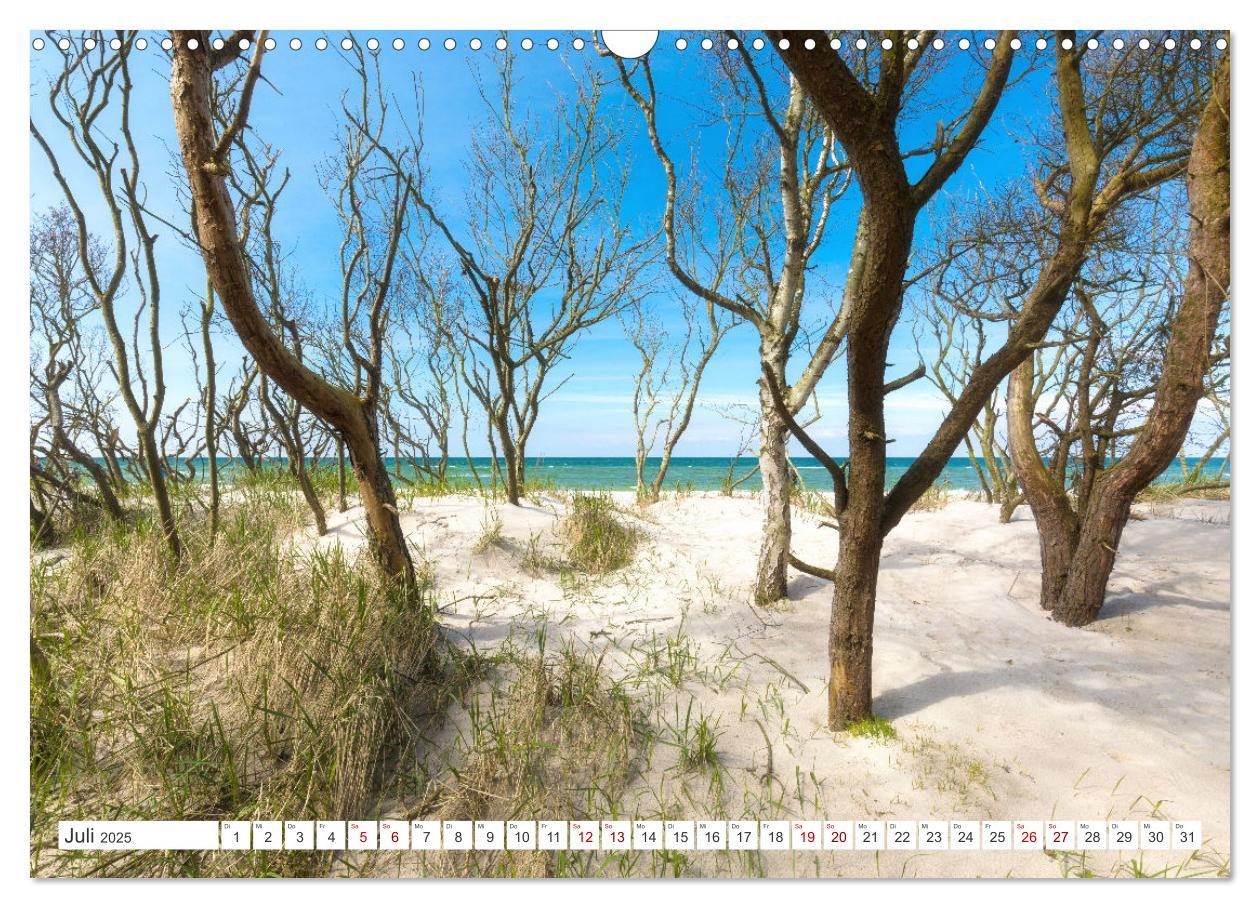 Bild: 9783383954825 | Fischland Darß, Land zwischen Ostsee und Bodden (Wandkalender 2025...