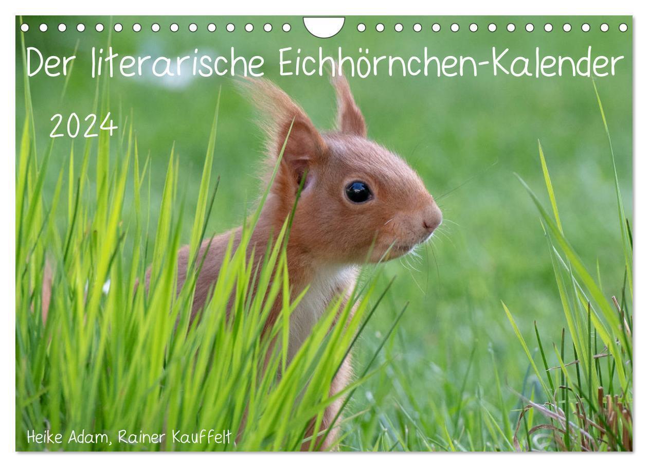 Cover: 9783675575264 | Der literarische Eichhörnchen-Kalender (Wandkalender 2024 DIN A4...