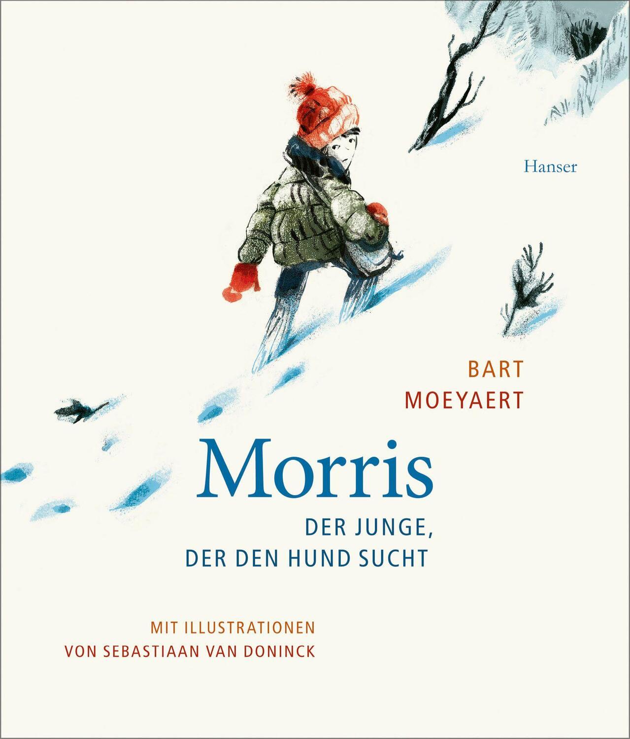 Cover: 9783446281172 | Morris | Der Junge, der den Hund sucht | Bart Moeyaert | Buch | 64 S.