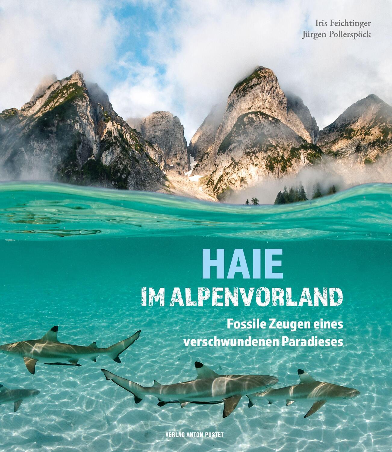 Cover: 9783702510237 | Haie im Alpenvorland | Fossile Zeugen eines verschwundenen Paradieses