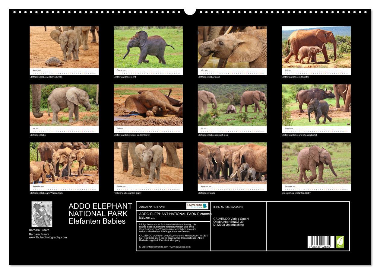 Bild: 9783435228355 | ADDO ELEPHANT NATIONAL PARK Elefanten Babies (Wandkalender 2025 DIN...