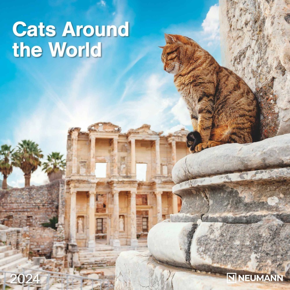 Cover: 4002725986870 | Cats Around the World 2024 - Wand-Kalender - Broschüren-Kalender -...
