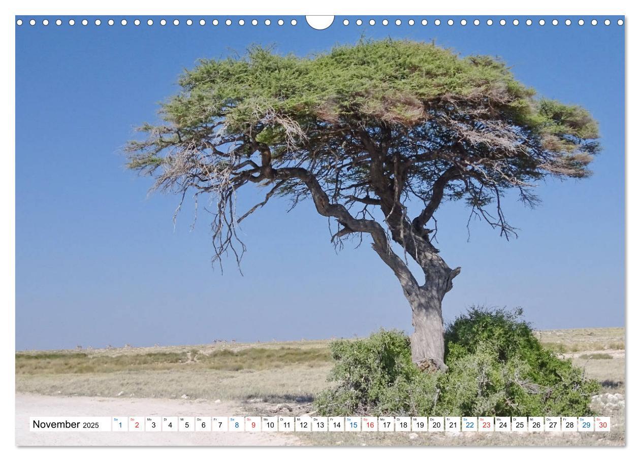 Bild: 9783435221950 | Namibia, Faszination Wüste und Tierwelt (Wandkalender 2025 DIN A3...